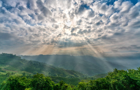 塔粪湖的早晨, 当太阳光线在山顶上闪耀着雾进入充满薄雾和小岛屿天堂的湖。这是越南发援会农场水电库