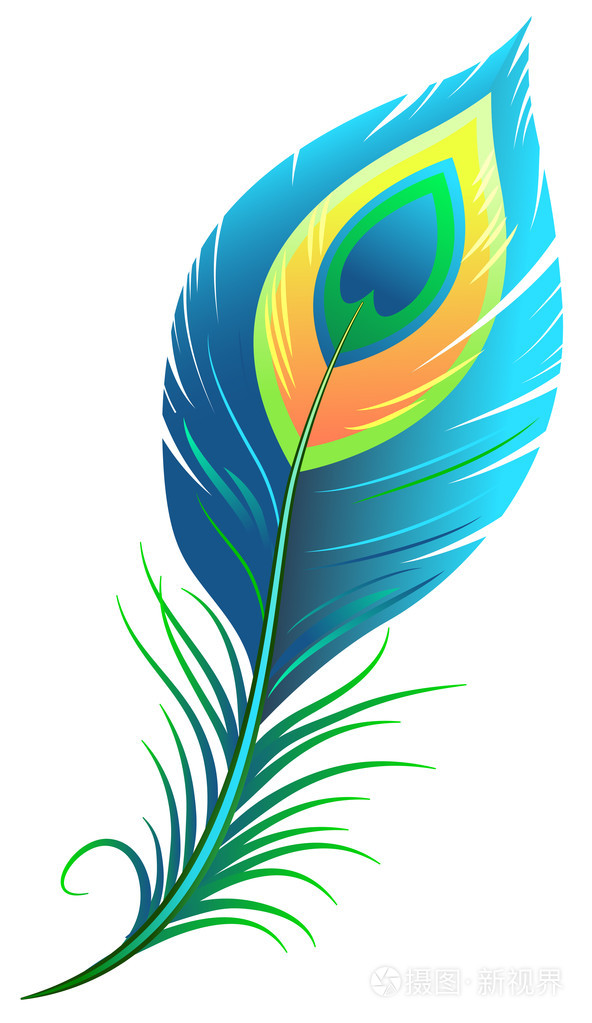 孔雀羽毛图