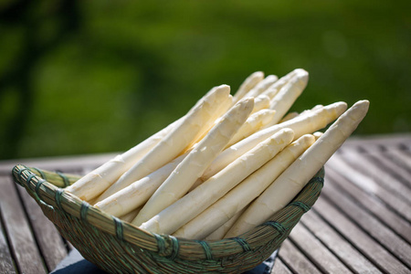 芦笋白芦笋紫图片