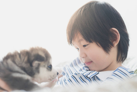可爱的亚洲孩子，西伯利亚哈士奇犬小狗玩