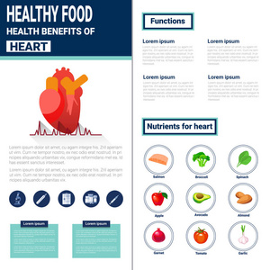 健康食品的图表与维生素和矿物质，健康营养生活方式的概念