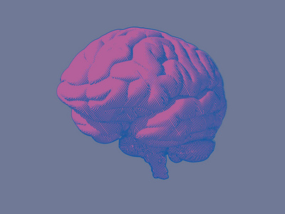 在蓝色灰色背景下的斜视视图中雕刻粉红色的大脑