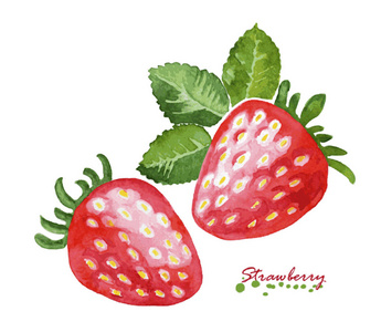 白色背景上的水彩草莓