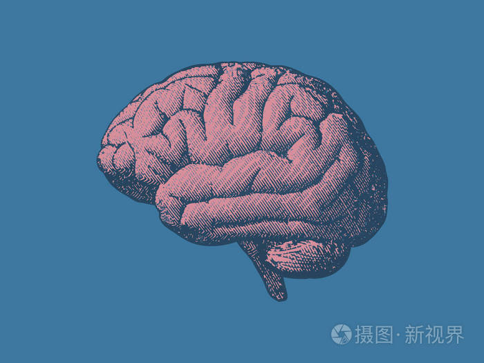 蓝色绿色绿松石背景下的粉红色雕刻画脑插图