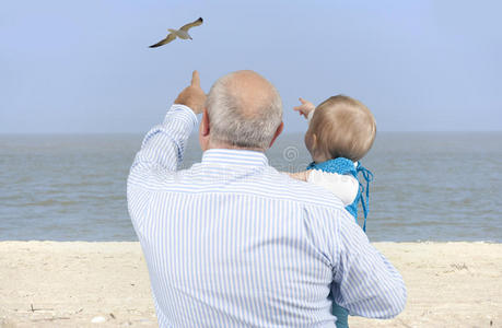 爷爷带着孙女看海鸥