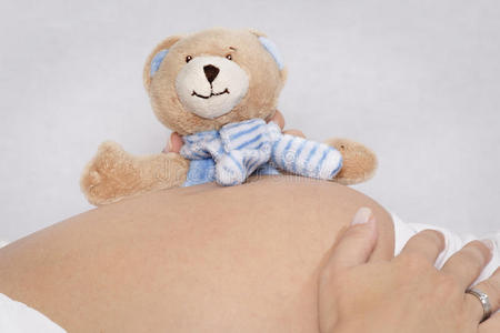 怎么做毛绒小熊图片