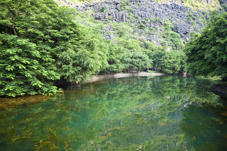 越南石灰岩景观