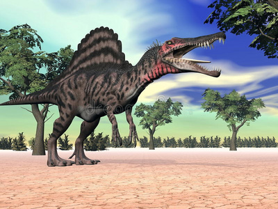 沙漠中的棘龙恐龙-3d渲染照片