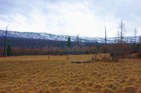 雪山顶