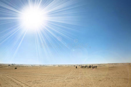 阳光普照的撒哈拉沙漠