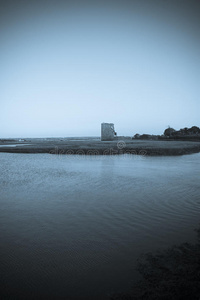 香农河口的卡里加福伊尔城堡图片