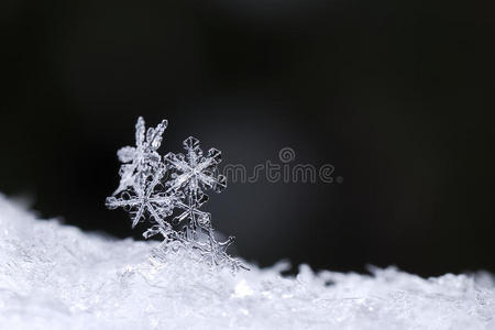 美丽的雪晶