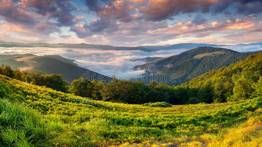 美丽的夏季山景。