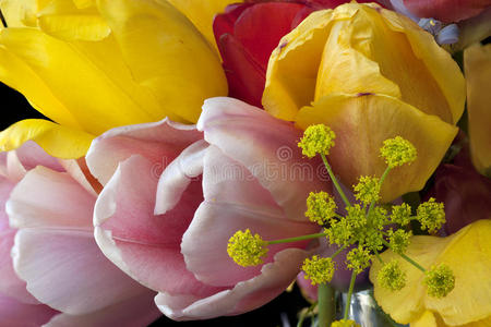 五颜六色的郁金香花束。