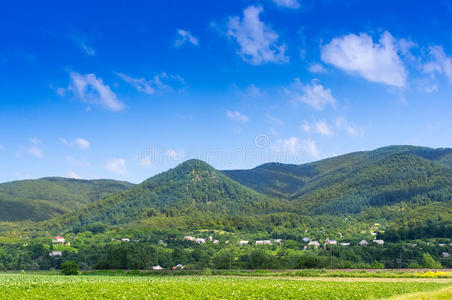 大山里的小村庄