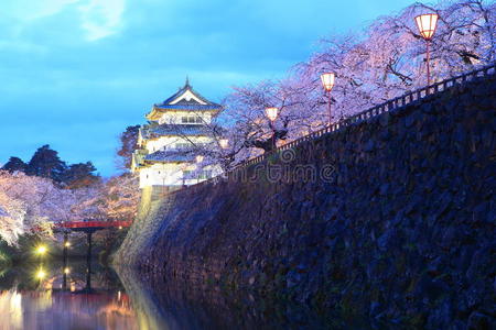 广崎城堡和樱花的灯光图片