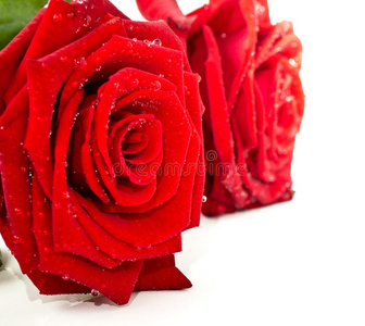 红色玫瑰花瓣作为爱的象征