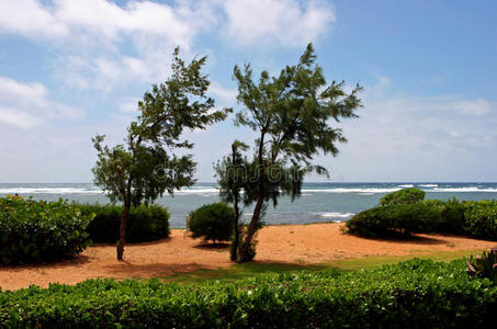 太平洋 旅行 热带 夏威夷 美好的 海滩 风景 太阳 岛屿