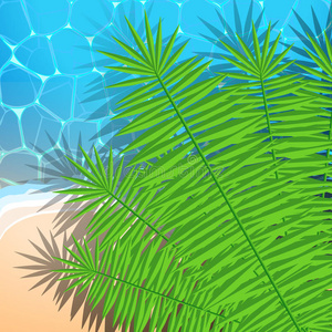 夏季海洋海滩和棕榈叶插画