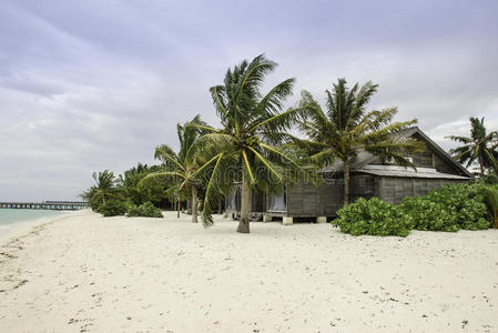 马尔代夫海滩棕榈树小屋