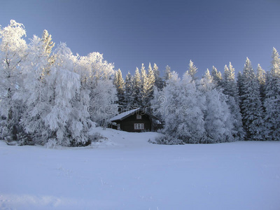 冬季景观