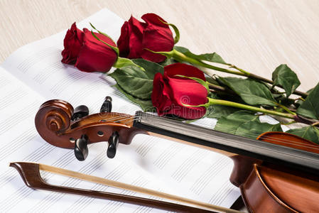 小提琴玫瑰和音乐书