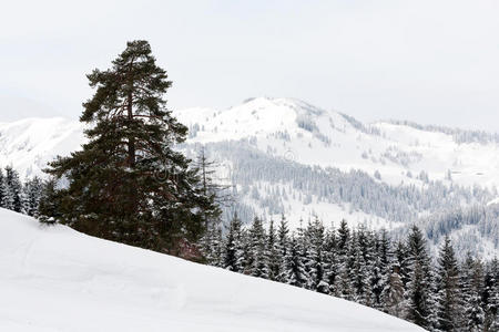 冬季山景