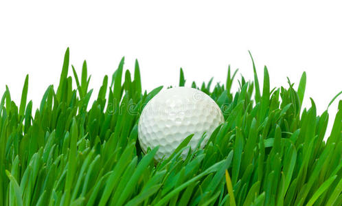高尔夫长图片