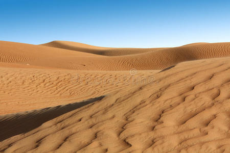 沙漠沙地景观