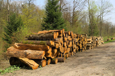 砍木头堆栈图片