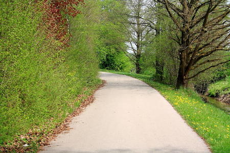 以春天公园里蜿蜒的道路为背景