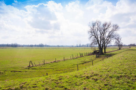 牧场 草地 美女 农场 自然 地平线 光秃秃的 乡村 栅栏