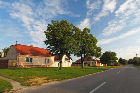 斯洛伐克有房屋的村道