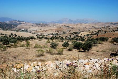 西班牙安达卢西亚的农业用地.照片