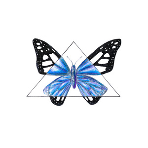 明亮的黑色和蓝色的蝴蝶。手工绘制。水彩 drawin