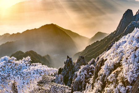 日出黄山国家公园的山峰之上