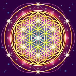 神的几何学的生命之花照片