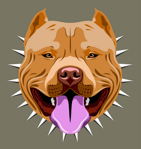 piter 波尔梗在带刺的衣领上的肖像照片