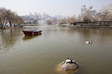 Bahcesehir，伊斯坦布尔土耳其