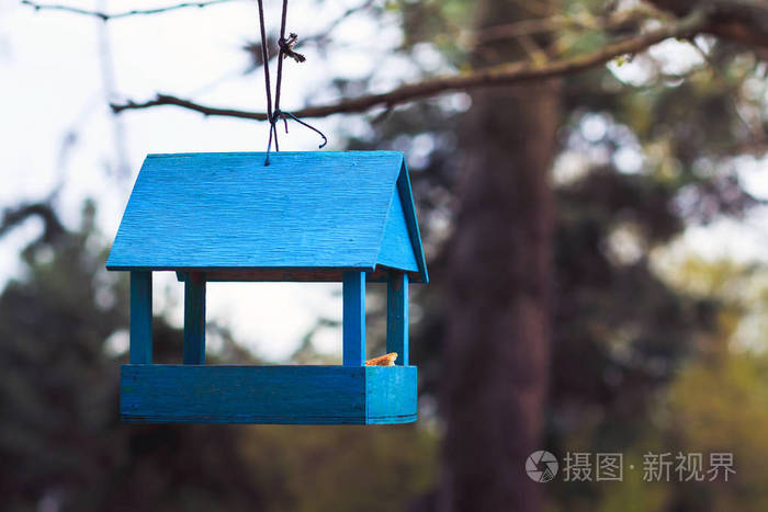 蓝色槽鸟类取食树木进纸器