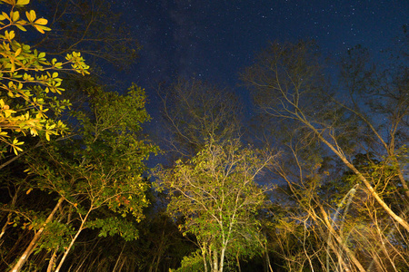 两个veadeiros goias brazil镀上的夜空