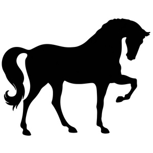 马精美的矢量轮廓和大纲优雅的黑色种马的抚养