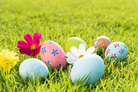 复活节快乐在绿草地里特写五颜六色的复活节彩蛋
