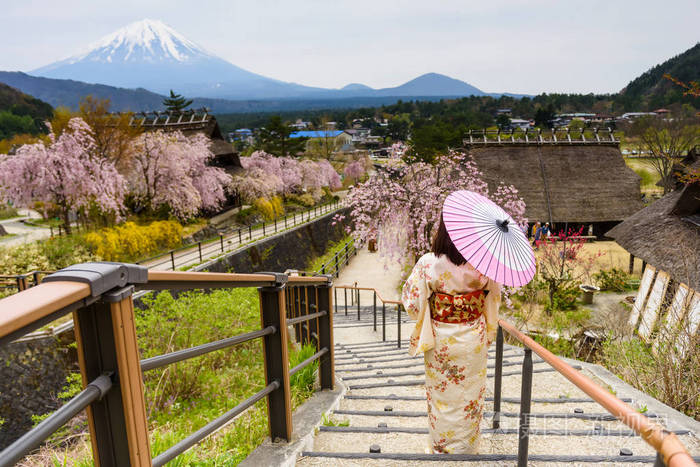 日本妇女享受樱花与富士富士山