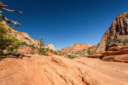 美国犹他州锡安国家公园的岩层景观