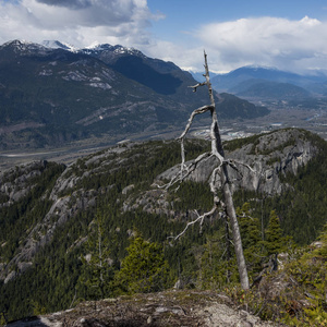 山谷的看法与山, Bc 海岸, 海岸山, Squamish, 不列颠哥伦比亚省, 加拿大