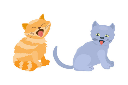 猫咪品种可爱小猫宠物肖像蓬松年轻可爱的卡通动物和非常有趣的玩猫坐