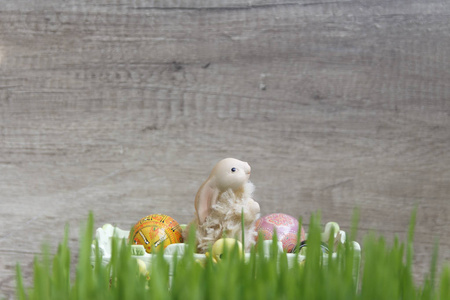复活节兔子与鸡蛋