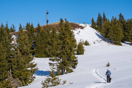 徒步旅行与狗通过雪到山顶 Rennfeld