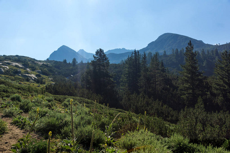 保加利亚 Pirin 山 Begovitsa 河谷景观